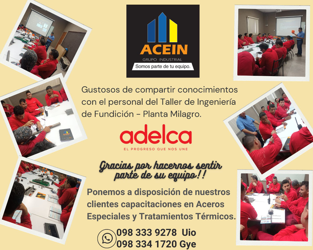 Asesoría técnica GRUPO ACEIN